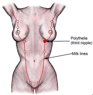 Illustration for article titled What This Bond Villain Can Teach You About Extra Nipples